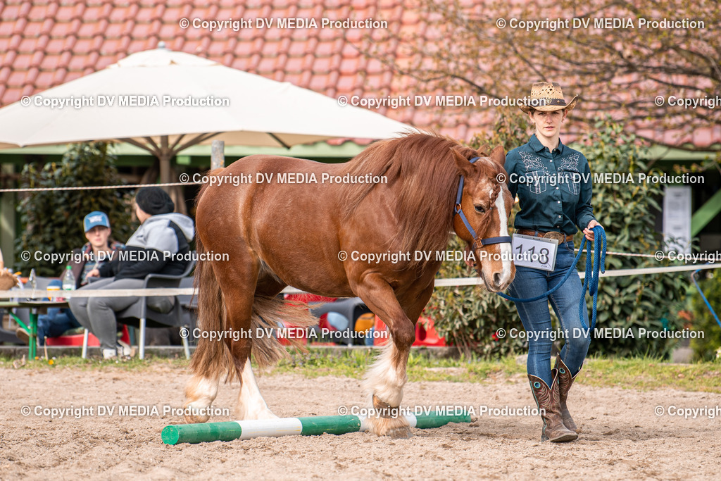 Balingen Tag 3-251 | dv-media-shop - Realisiert mit Pictrs.com