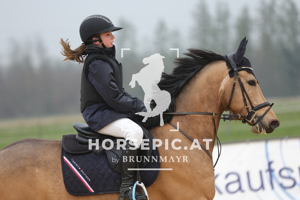 0P6A7297 | Willkommen bei Brunnmayr - Design & Fotografie – Ihrem Spezialisten für Reitturniere und Pferdeveranstaltungen in Oberösterreich, Salzburg und Bayern! Seit über 17 Jahren sind wir leidenschaftlich dabei.
