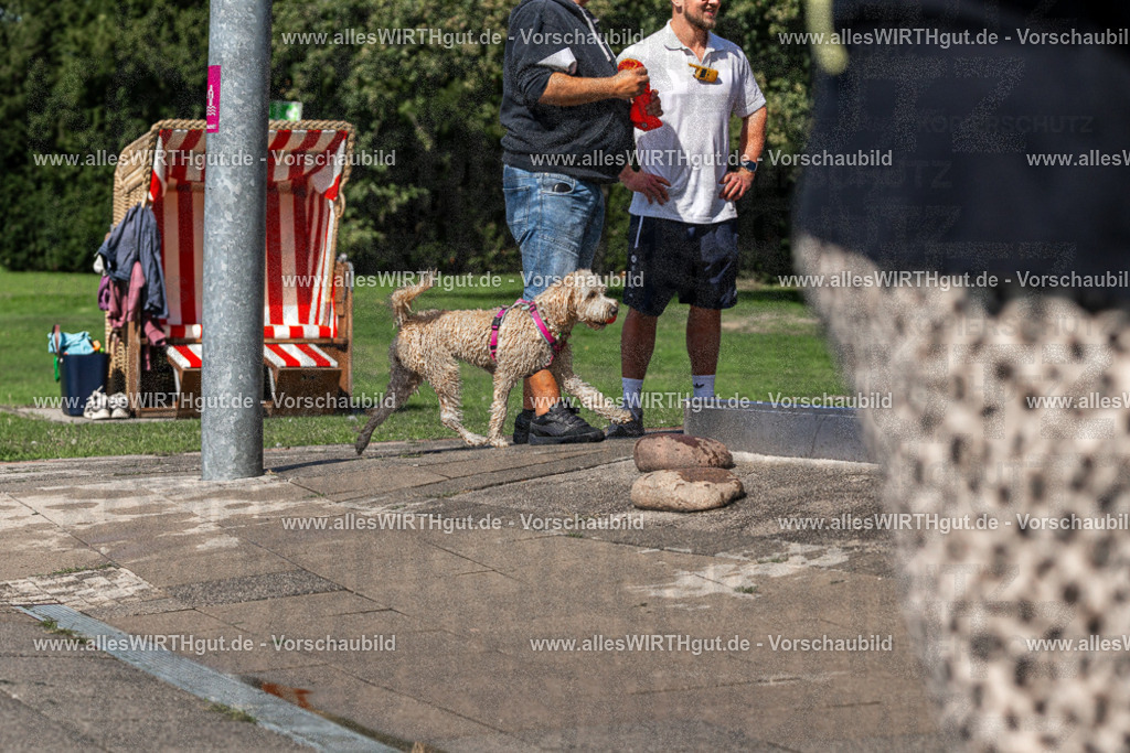 Hundeschwimmen_Volksbad_2026-allesWIRTHgut_Tierfotografie-2609061233-FAY06483 | Professionelle Tierfotografie in Mönchengladbach von Daniel Wirth (allesWIRTHgut). Liebevolle & natürliche Bilder von Hunden & Katzen für unvergessliche Erinnerungen.