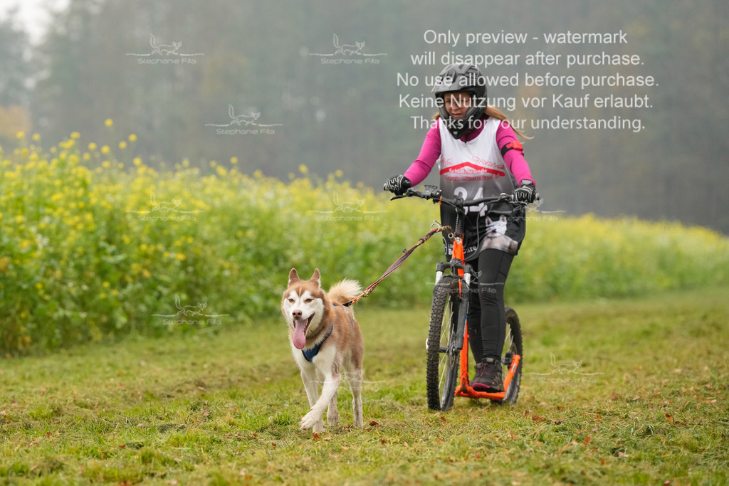 Visbeck_Sa_Scooter_Hc-159 | stephaniefillaphotographie - Realisiert mit Pictrs.com