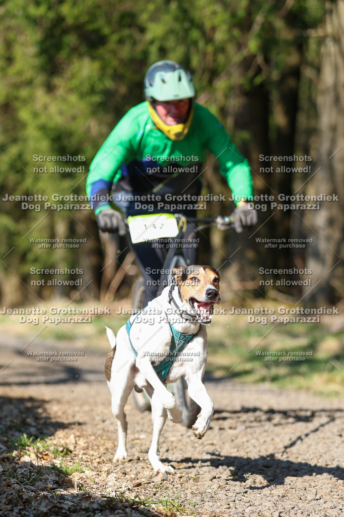 Dog Paparazzi - VCC26-84 | Dog Paparazzi Jeanette Grottendiek Fotografie & Videografie - Realisiert mit Pictrs.com