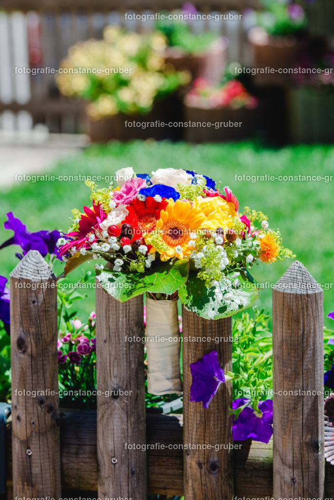 1003 | Fotografie Constance Gruber - Realisiert mit Pictrs.com