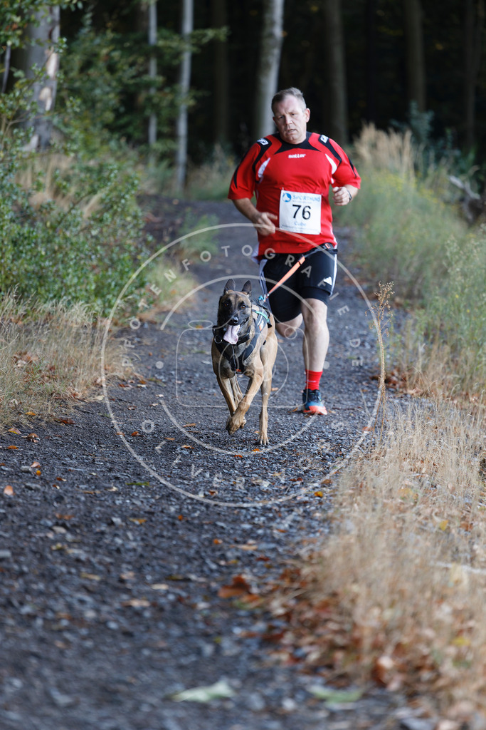 0L8A2016 | Hundefotografie, Tierfotograf, Pfotenfotografie, Fotoshooting Hund, Hunde Portrait, Hundesport, Hundeportraits, Heideshooting, Hunde, Sportfotograf, Hundefotograf, Turnierhundsport, THS,  - Realisiert mit Pictrs.com