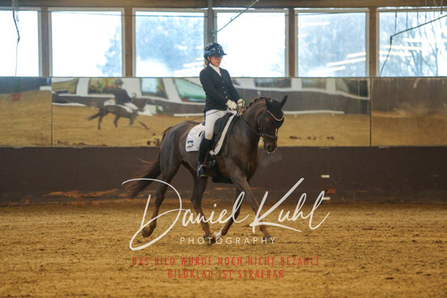 IMG_7499 | Turniersportfotografie; Pferdefotografie; Dressurfotografie