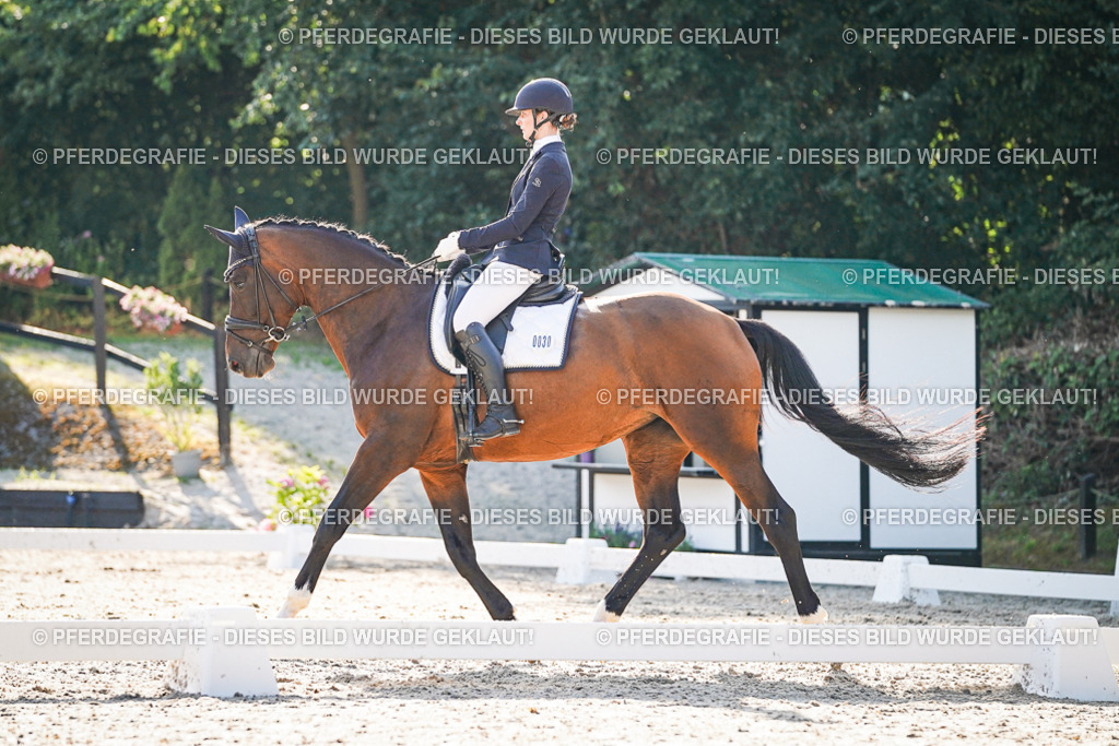 DSC08841 | Pferdegrafie