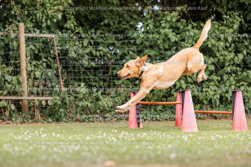 THS-Quakenbrück-2026-Nickbest-Hundefotografie-2452 | Dein Hund! Dein Moment! Deine Erinnerungen! Hundefotografie in Bremen Blumenthal. Ich fange die besonderen Momente deines Vierbeiners ein – ob Indoor mit Blitzanlage oder in der freien Natur. Sicher dir dein Moment und dein Termin für eure Erinnerungen.