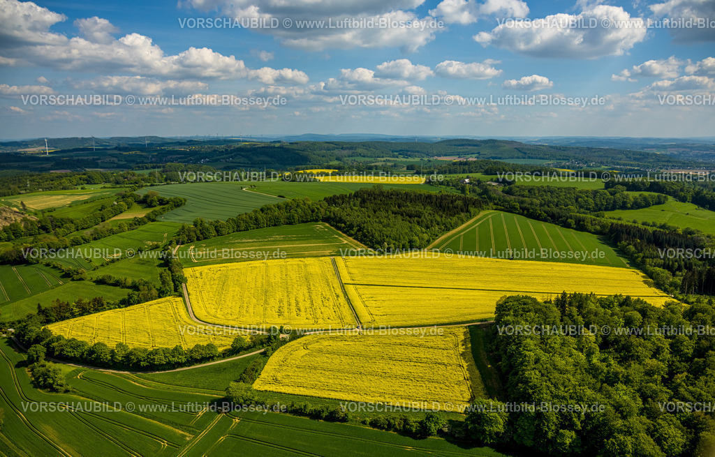 Kalletal240505423 | Luftbild, gelbes Rapsfeld, kachelförmige Wiesen und Felder, blauer Himmel und Wolken, Ortsteil Talle, Kalletal, Ostwestfalen, Nordrhein-Westfalen, Deutschland
