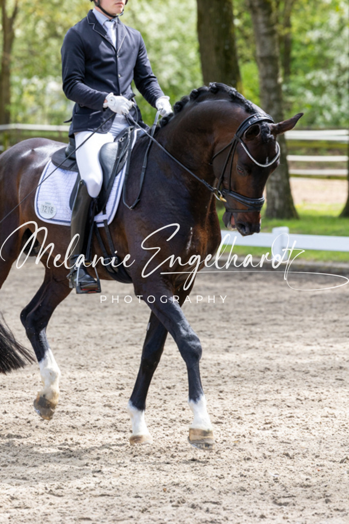 7I8A9351 | melanie-engelhardt-photography - Realisiert mit Pictrs.com