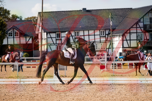 2026_10_03_Siefer-Hof_133611_Z63_96254155 | Professionelle Reitsport-, Turnier- und Eventfotografie von Robert Broda. Galerien mit ausgewählten und bearbeiteten Bildern direkt online ansehen und bestellen.