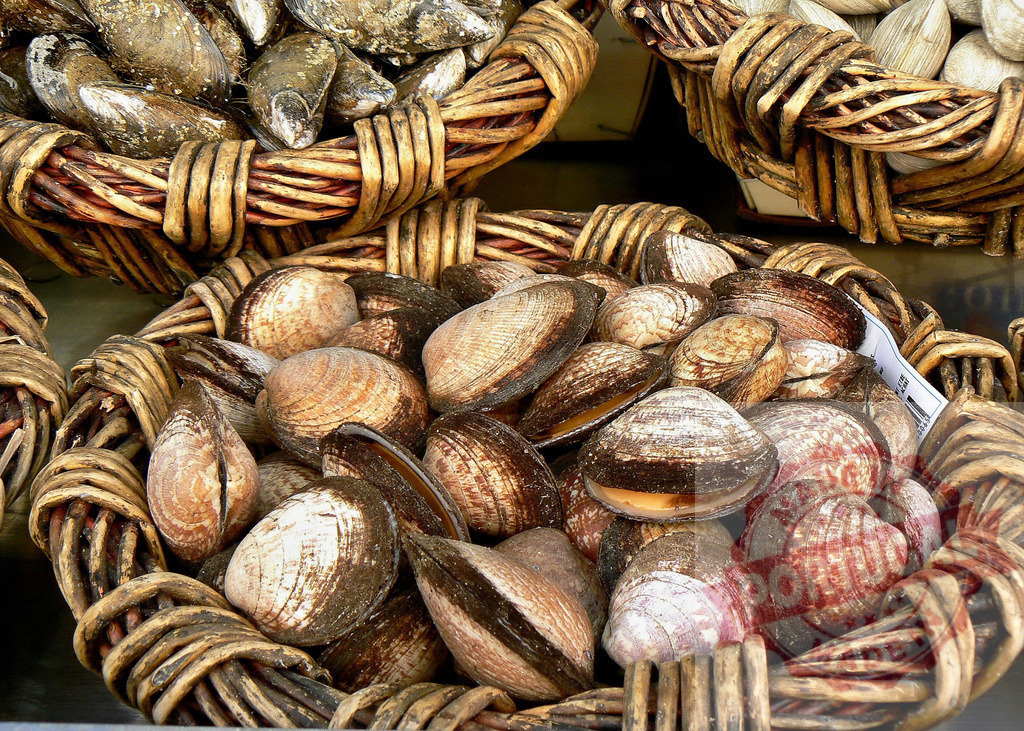 Fresh clams in wicker basket at seafood market | Fresh clams filling a rustic wicker basket for sale at a seafood market - Realized with Pictrs.com