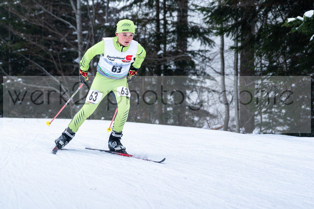 DSC Arber | Bayerischer Wald am 15. und 16. Januar 2022
