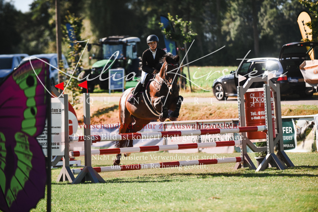 DSC_2393 | Pferde- und Turnierfotografie in Westsachsen. Pferdeportraits, Auftragszeichnungen und intuitive Kunst.