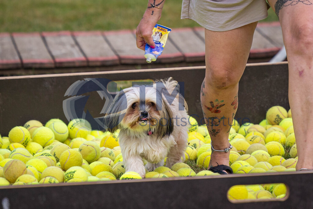 TP-20240815-0082 | Copyright: Trainproduction / Matthias Trinkl