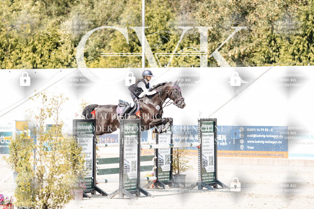 CK901587 | Turnierfotografie Pferdefotografie Trier Rheinland-Pfalz Pferdesport Reitsport Tierfotografie Sportfotografie Pferdevideo Pferdevideografie Equestrianvideography equestrianphotography  - Realisiert mit Pictrs.com