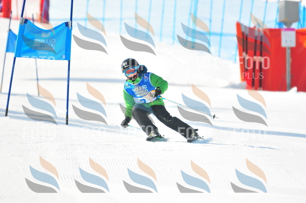 B8779 | holidayphoto