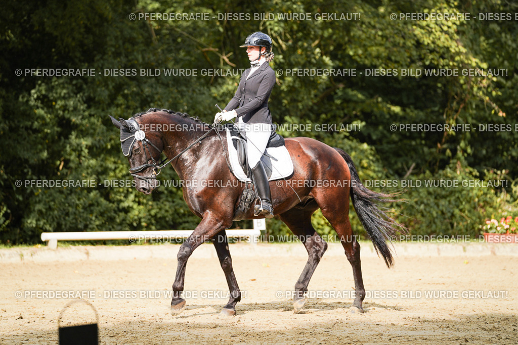 DSC03016 | Pferdegrafie