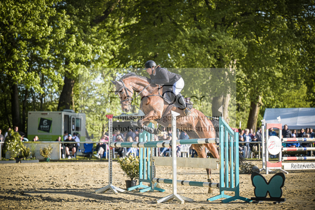 DOS_4037 | Entdecke hochwertige Reitturnierfotos von Foto Oger. Professionell, emotional und authentisch – jetzt Lieblingsmomente im Shop bestellen.Deutschlandweite Turnierfotografie. - Realisiert mit Pictrs.com