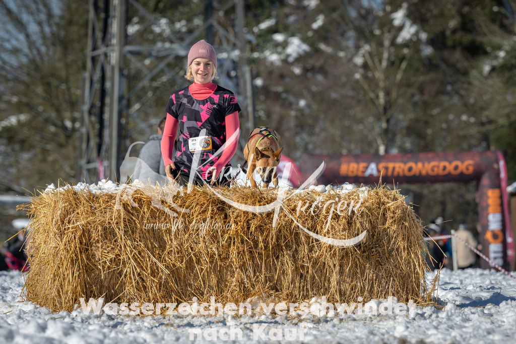 1116_ZZ90951-3 | kk-dogfotos