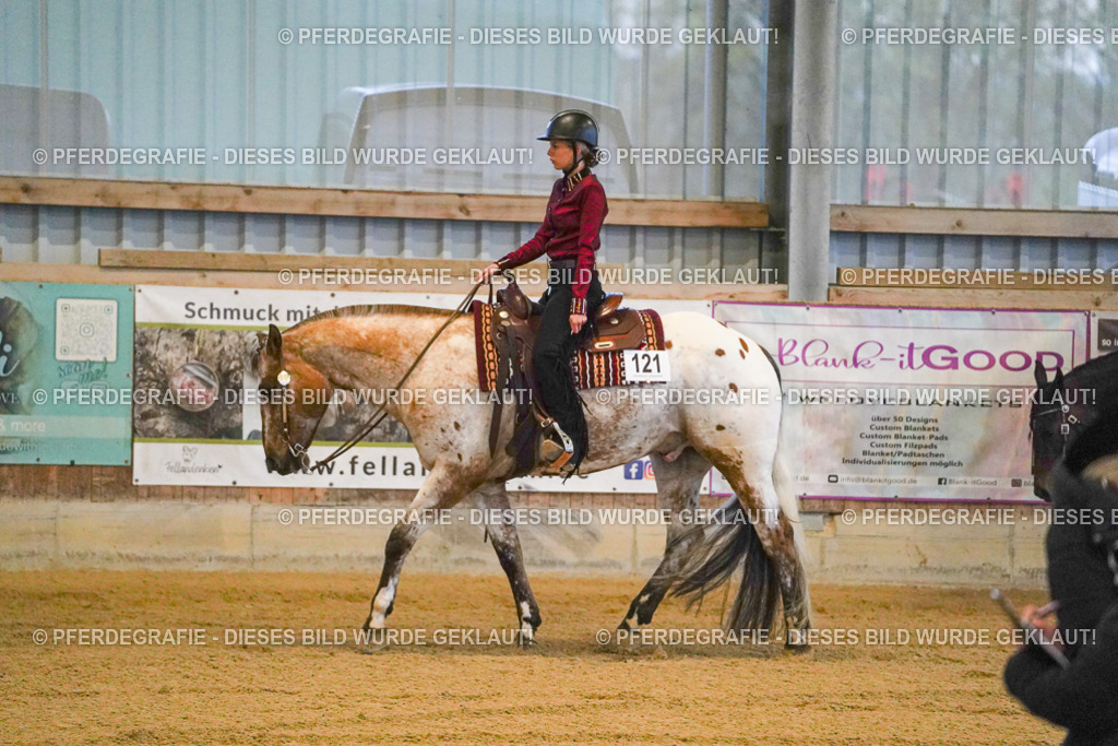 DSC08432 | Pferdegrafie