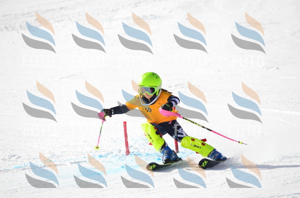 C7755 | holidayphoto