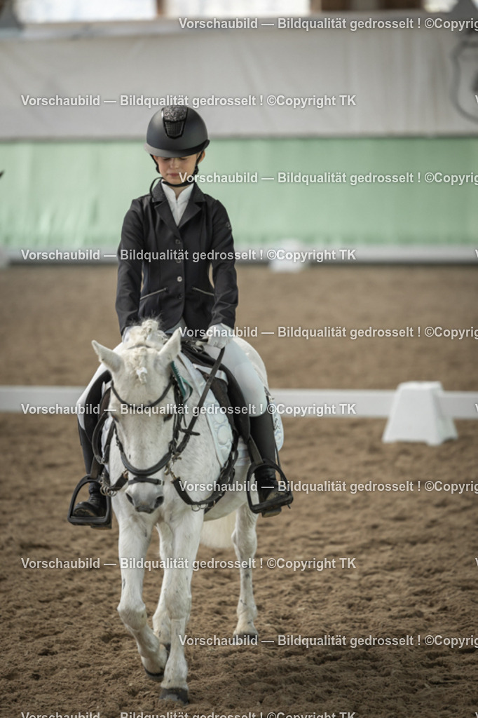 _D5A5889 | Emotionale Pferde- & People-Fotografie rund um Heidelberg, Leimen & Umgebung. Natürliche Fotos von Pferd, Mensch & Familie. Jetzt Termin sichern!