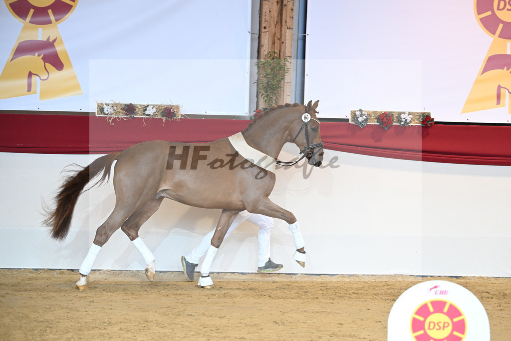 Kat-Nr. 80 Viva Gold_Buergers_1232298 | hf-fotografie - Realisiert mit Pictrs.com