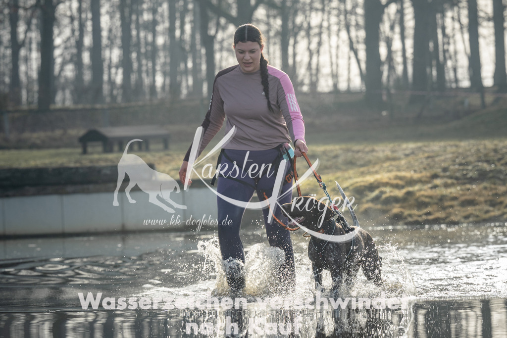 0911_ZZ90203 | kk-dogfotos