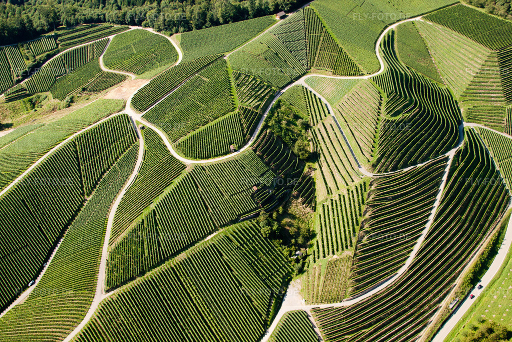 Luftbild: Weinbergs- Landschaft der Winzer- Gebiete in Kappelrodeck im Bundesland Baden-Württemberg in Deutschland. Foto: IMG_31503.jpg vom 09.08.2010 durch Werner Riehm/FLY-FOTO.de