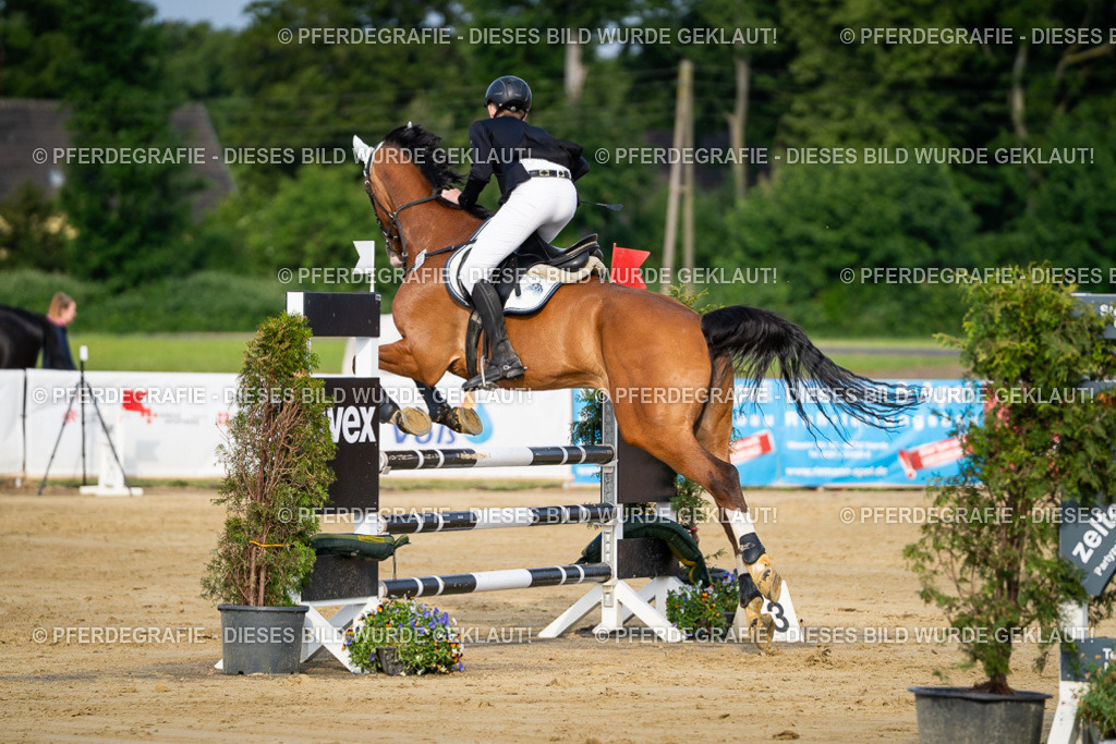 DSC02769 | Pferdegrafie