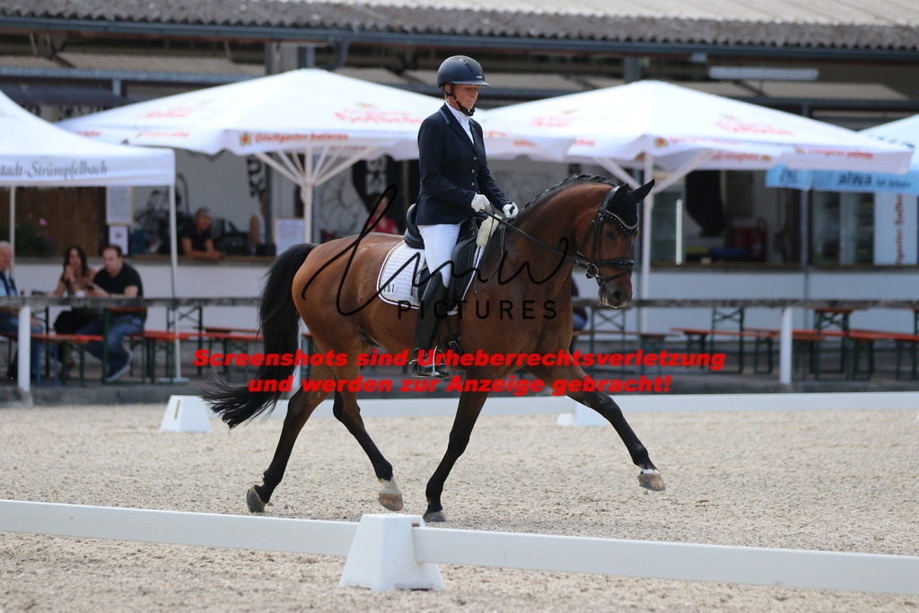 IMG_4565 | lmwpictures - Realisiert mit Pictrs.com