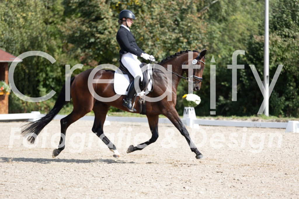 IMG_3031 | Creatify Fotografie