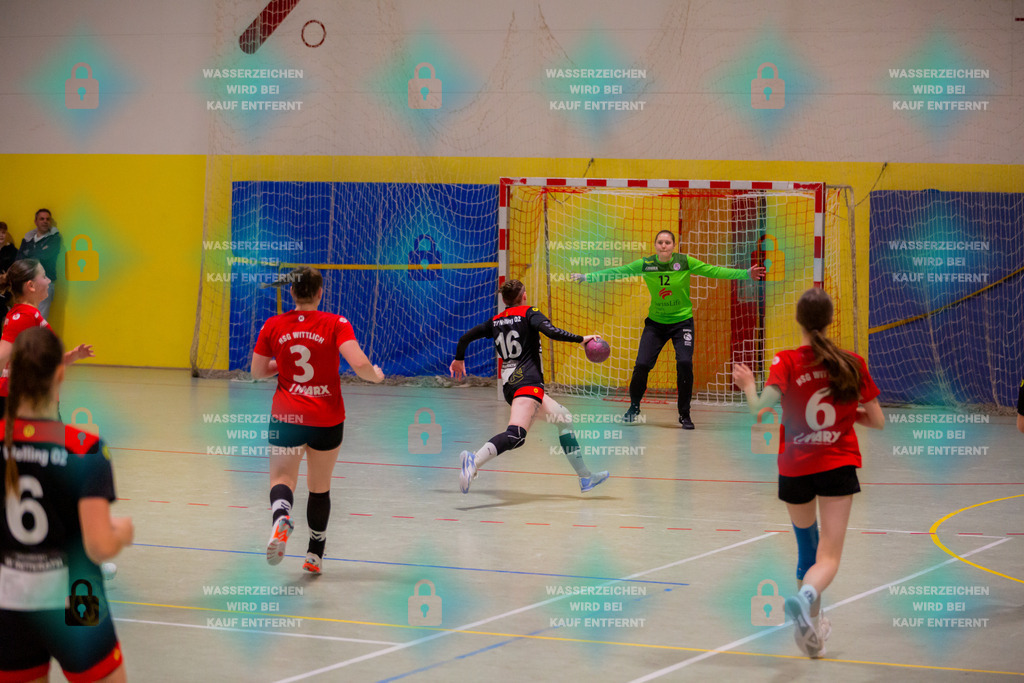 _HP_1558_3000o | TV Welling vs. HSG Wittlich 10.11.2023