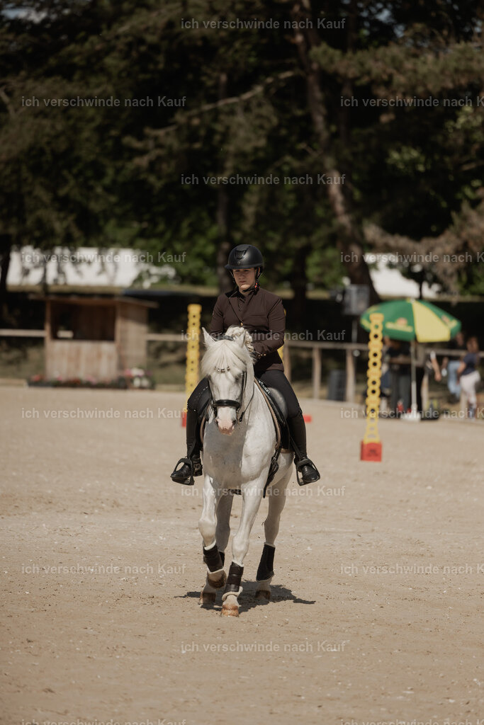 WE_ST_Stoib_318_PI2025_1405 | 330Pferd International München 2025