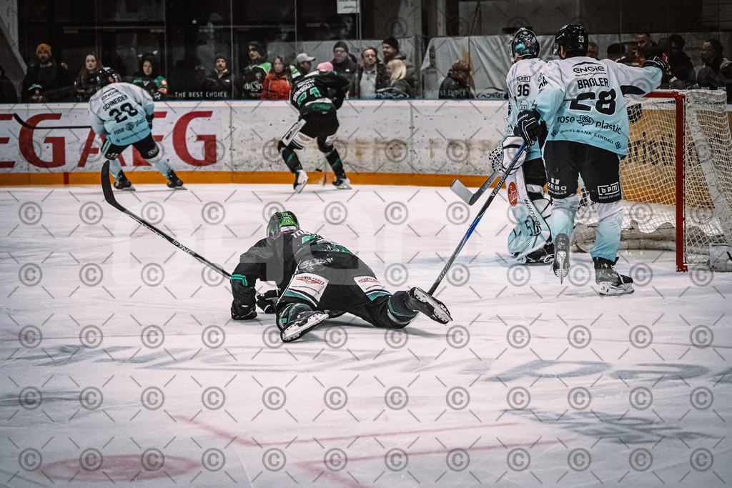 Alligators_vs_Lindau_21_12_2025-037 | Höchstadt Alligators Fotogalerie: Eishockey-Action aus Franken. Professionelle Spielfotos, Portraits & Stadionbilder zum Download. Jetzt entdecken! - Realisiert mit Pictrs.com