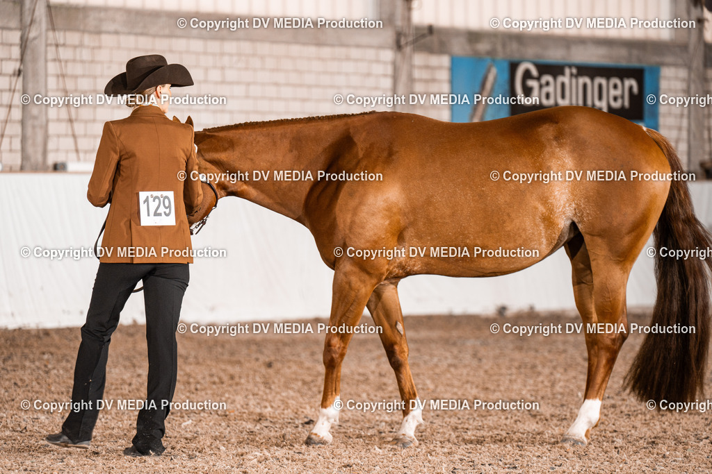 ZH200278 | dv-media-shop - Realisiert mit Pictrs.com