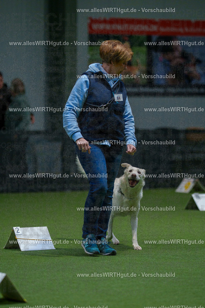 7R507868 | Professionelle Tierfotografie in Mönchengladbach von Daniel Wirth (allesWIRTHgut). Liebevolle & natürliche Bilder von Hunden & Katzen für unvergessliche Erinnerungen.