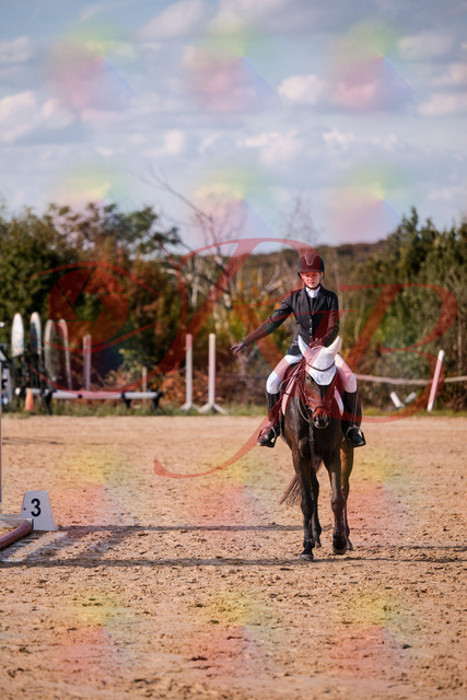2026_10_03_Siefer-Hof_153455_Z81_46516728 | Professionelle Reitsport-, Turnier- und Eventfotografie von Robert Broda. Galerien mit ausgewählten und bearbeiteten Bildern direkt online ansehen und bestellen.