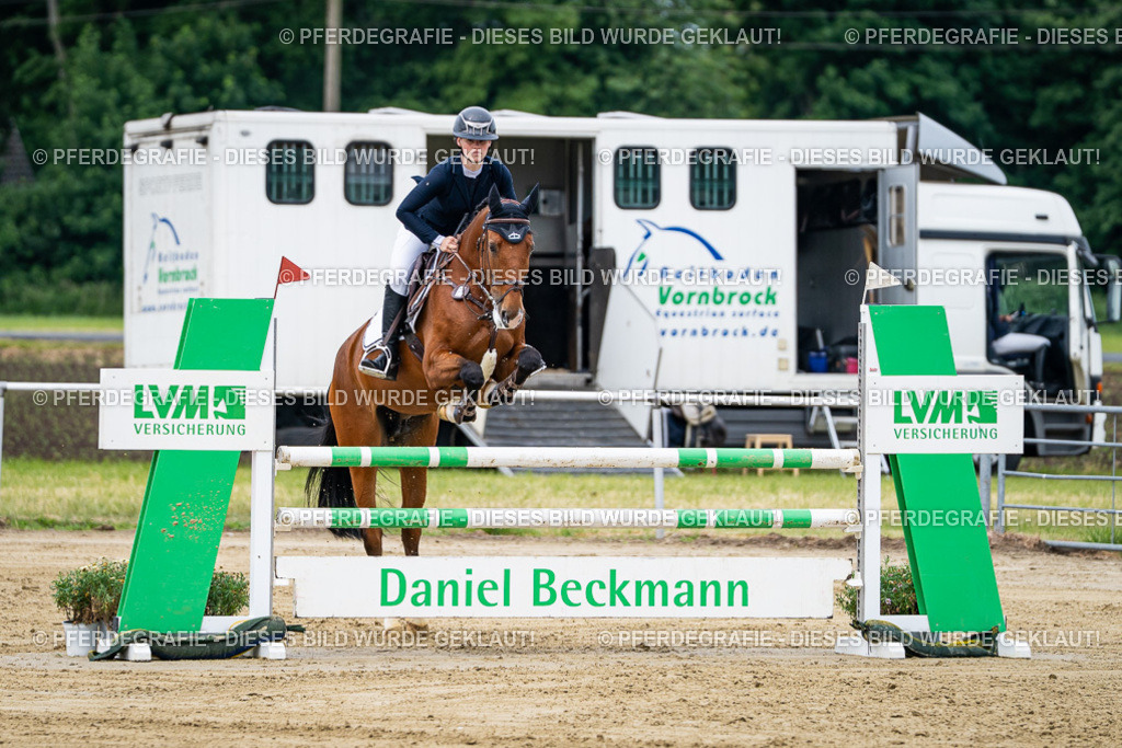 DSC05009 | Pferdegrafie