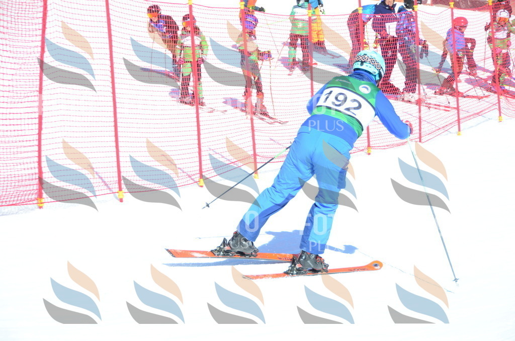 C6530 | holidayphoto