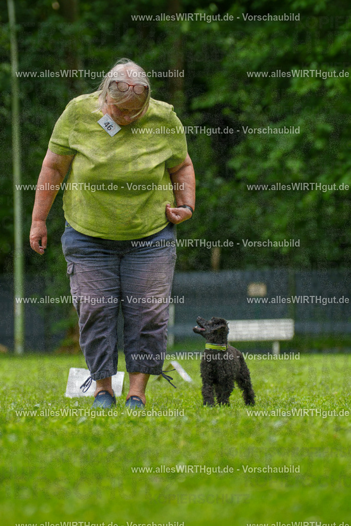 @allesWIRTHgut_Tierfotografie - www.allesWIRTHgut.de - 7R500409 | Professionelle Tierfotografie in Mönchengladbach von Daniel Wirth (allesWIRTHgut). Liebevolle & natürliche Bilder von Hunden & Katzen für unvergessliche Erinnerungen.