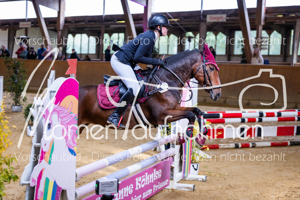 Sth-A-Springen-027 | MomenTaufnahmen Pferdesportfotos