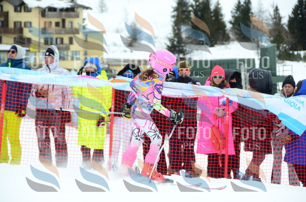 DSC_0808 | holidayphoto