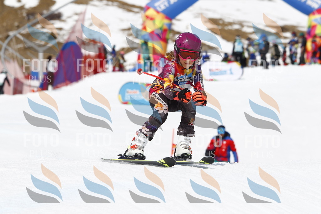 _U3G8208 | holidayphoto