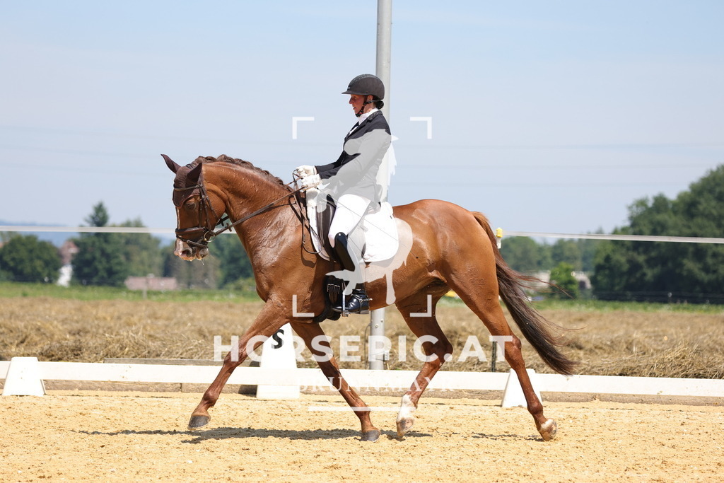 0P6A0617 | Willkommen bei Brunnmayr - Design & Fotografie – Ihrem Spezialisten für Reitturniere und Pferdeveranstaltungen in Oberösterreich, Salzburg und Bayern! Seit über 17 Jahren sind wir leidenschaftlich dabei.