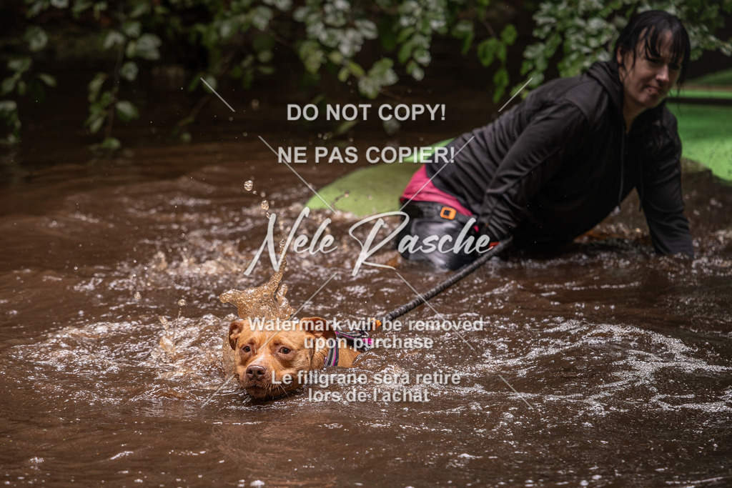 nelerasche_Wingst_Sa1330-1400_27 | nelerasche