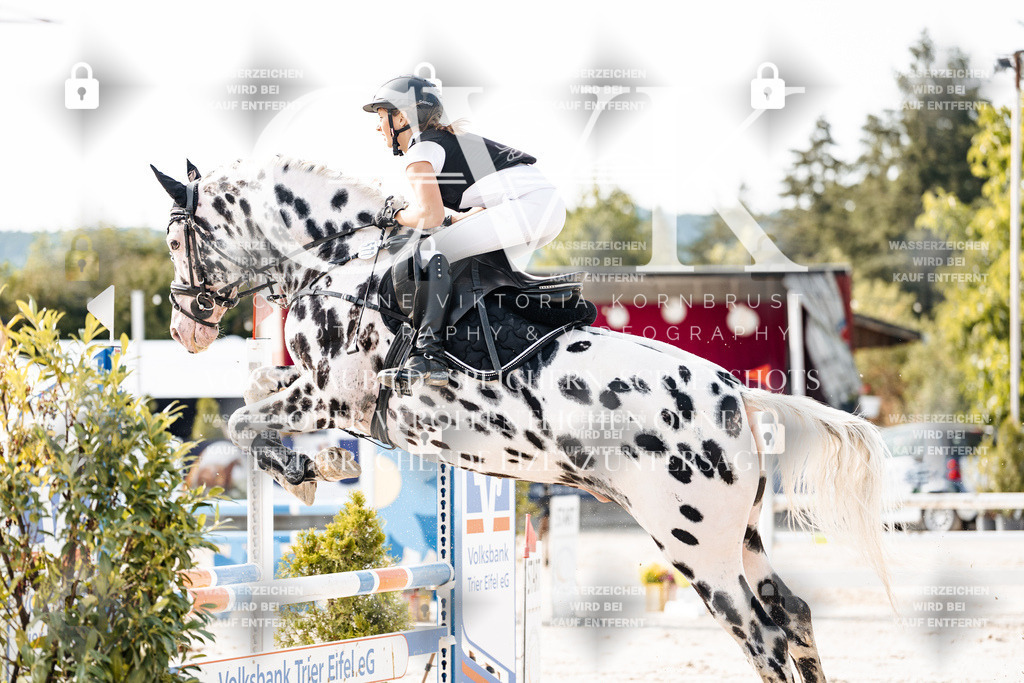 CK905977 | Turnierfotografie Pferdefotografie Trier Rheinland-Pfalz Pferdesport Reitsport Tierfotografie Sportfotografie Pferdevideo Pferdevideografie Equestrianvideography equestrianphotography  - Realisiert mit Pictrs.com