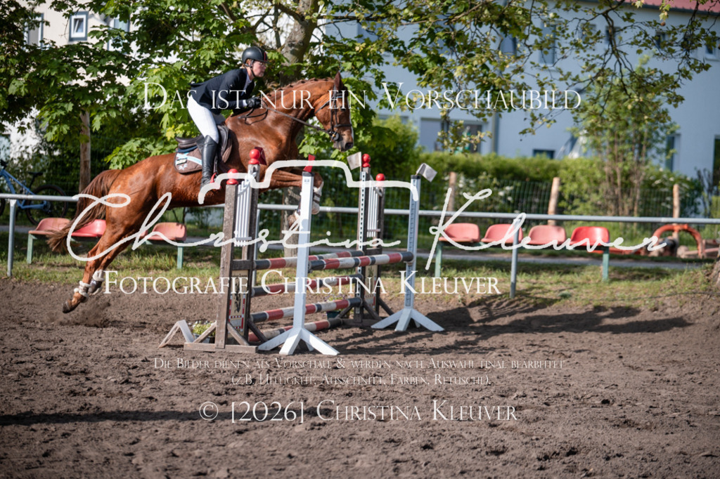 DSC_9006 | Christina-Kleuver