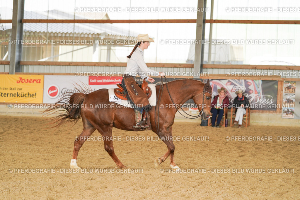 DSC01338 | Pferdegrafie