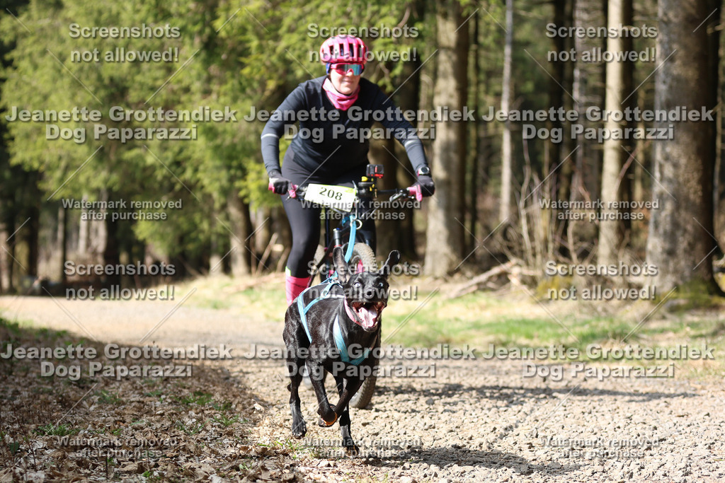 Dog Paparazzi - VCC26-228 | Dog Paparazzi Jeanette Grottendiek Fotografie & Videografie - Realisiert mit Pictrs.com