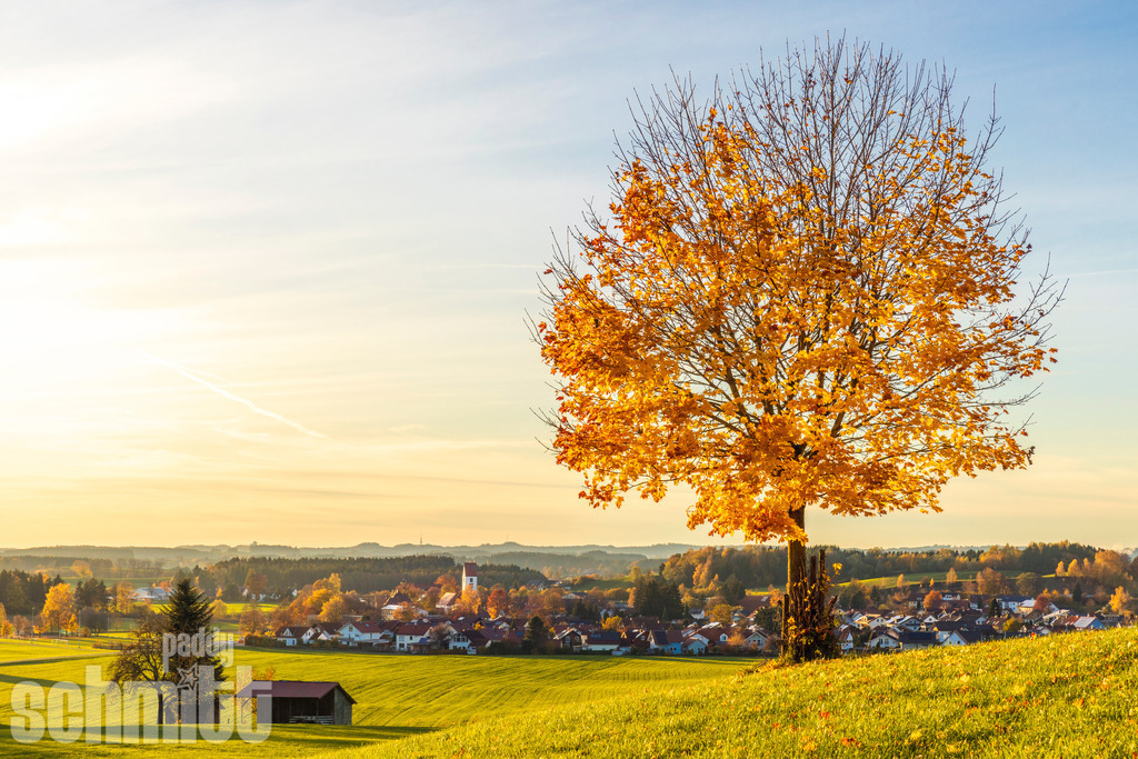 PS-Waltershofen-2026-03 | Entdecke die größte Bildgalerie der Region mit Fotografien aus dem Allgäu, der Bodenseeregion, Oberschwaben, dem Donautal und der Schwäbischen Alb. Landschaften, Luftaufnahmen und Reisefotografie als Wandbild und Fotokunst. - Realisiert mit Pictrs.com